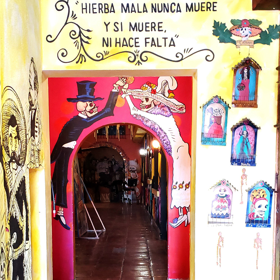 museo sc